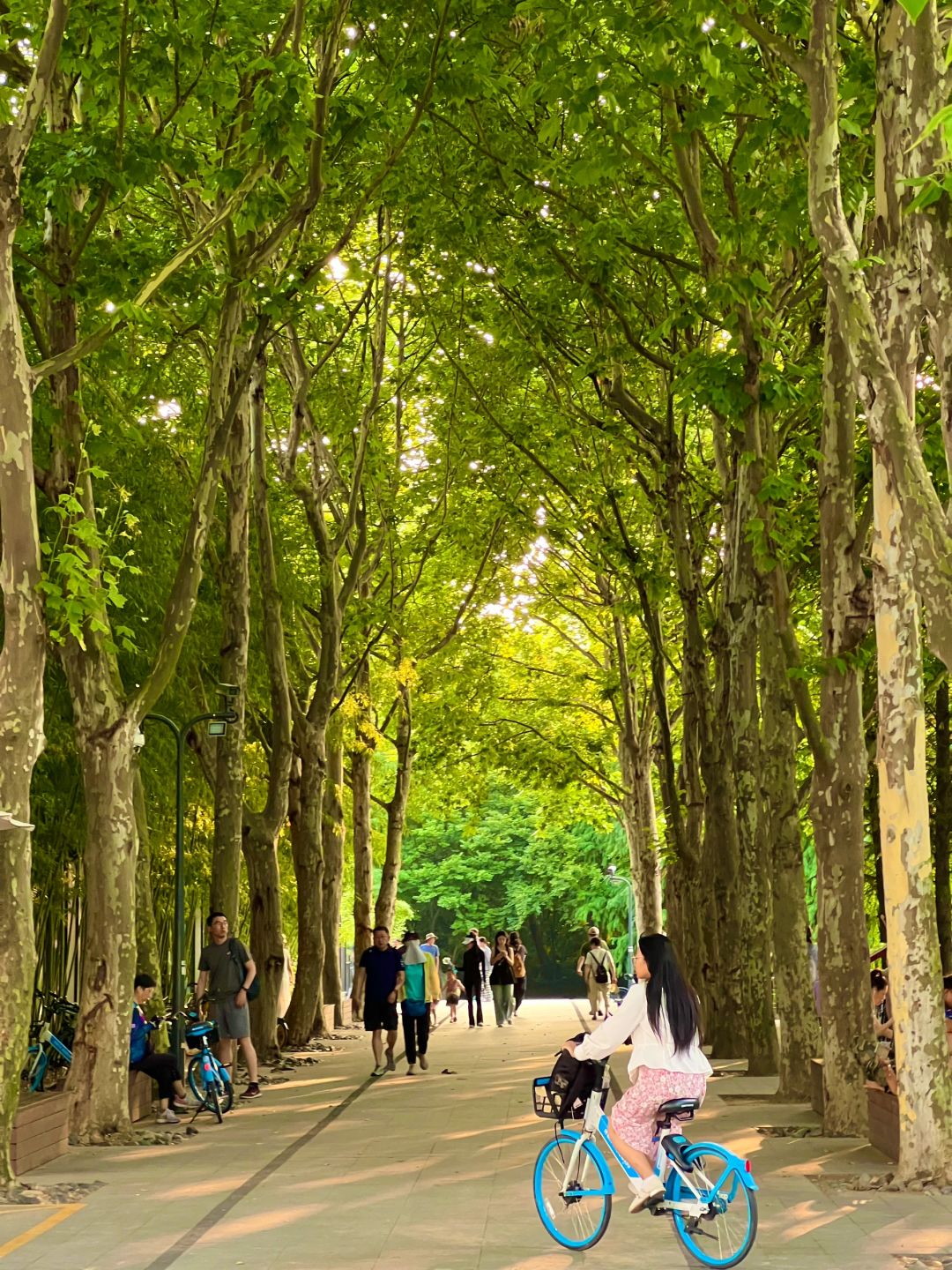 Shanghai/Hangzhou-Shanghai World Expo Cultural Park: The Perfect Integration of Urban Oasis and Modern Miracle