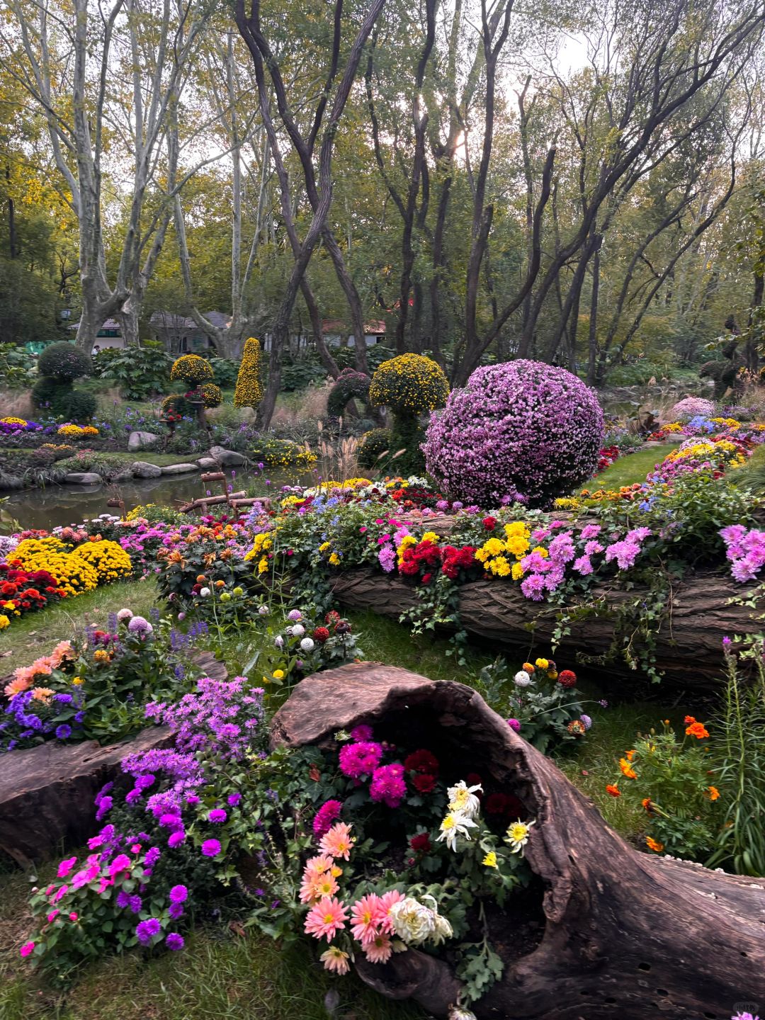Shanghai/Hangzhou-Gongqing Forest Park is as beautiful as Monet's garden in his paintings