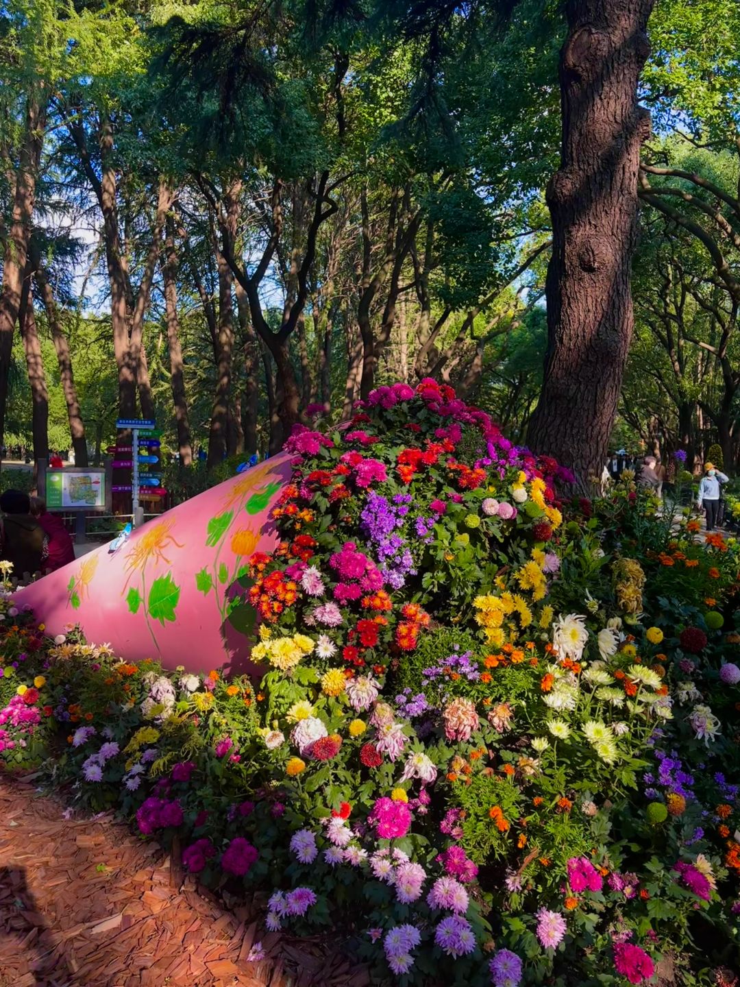 Shanghai/Hangzhou-Gongqing Forest Park is as beautiful as Monet's garden in his paintings