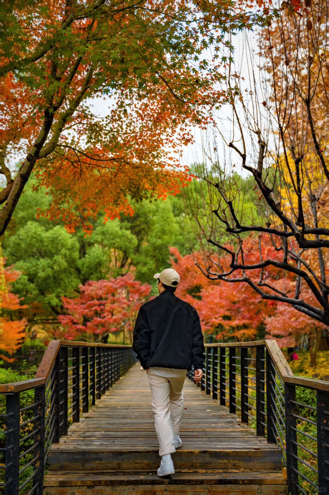 Shanghai/Hangzhou-Autumn in Shanghai Yanzhong Square Park is more beautiful than autumn in Beijing