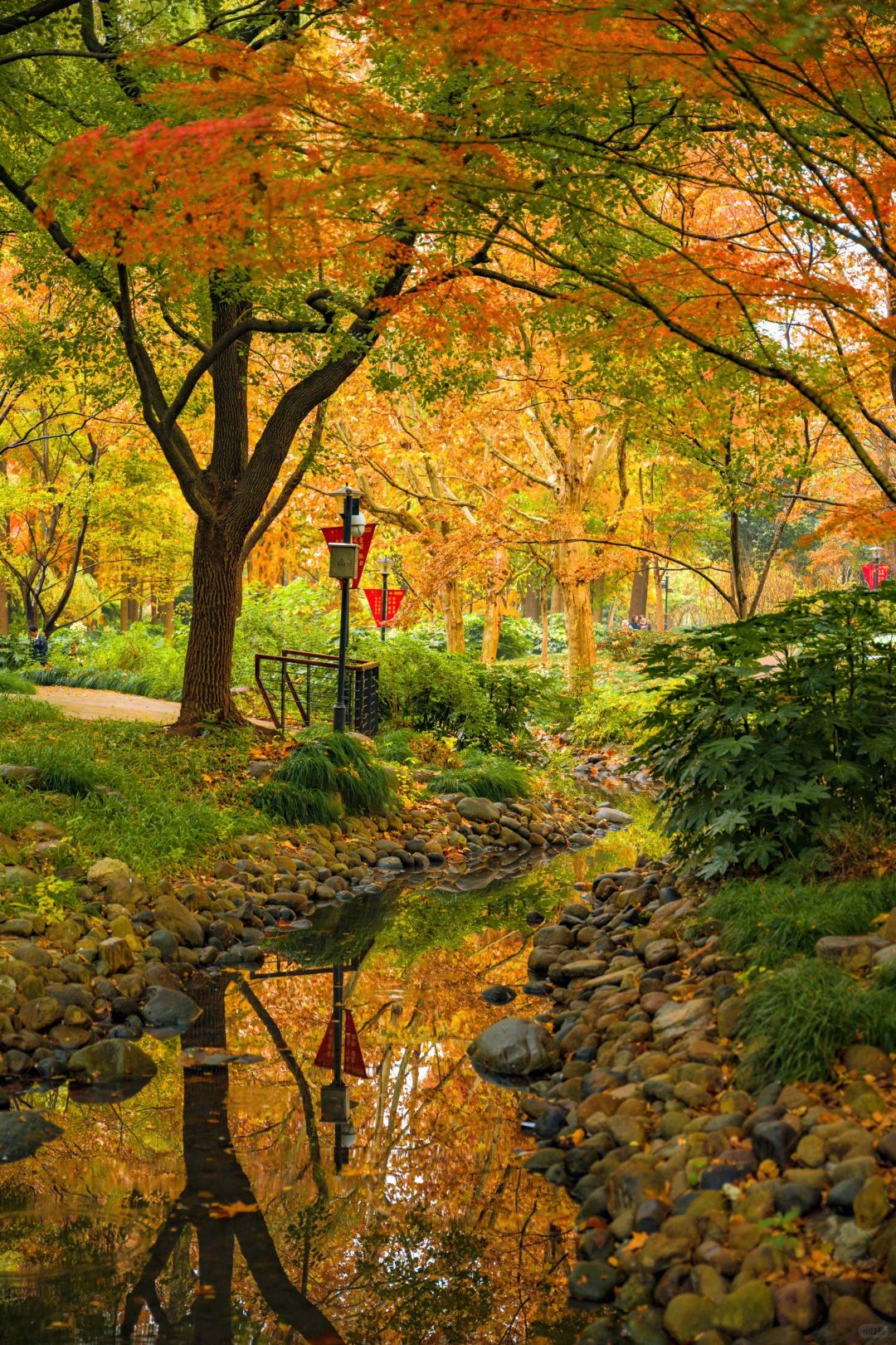 Shanghai/Hangzhou-Autumn in Shanghai Yanzhong Square Park is more beautiful than autumn in Beijing