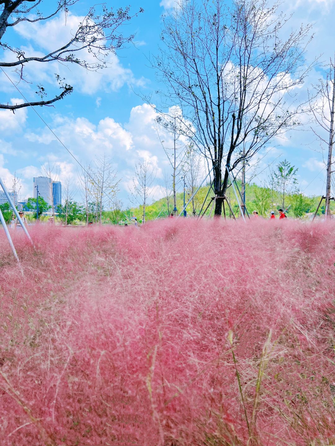 Shanghai/Hangzhou-Shanghai World Expo Cultural Park: A Leisure Oasis in the City