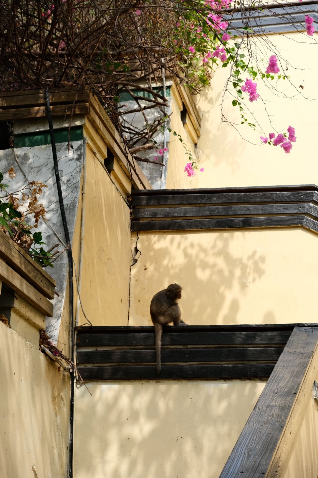 Taiwan-Travel to Kaohsiung, Taiwan, visit the Pier-2 Art District, Takao Consulate, and Cijin Old Street