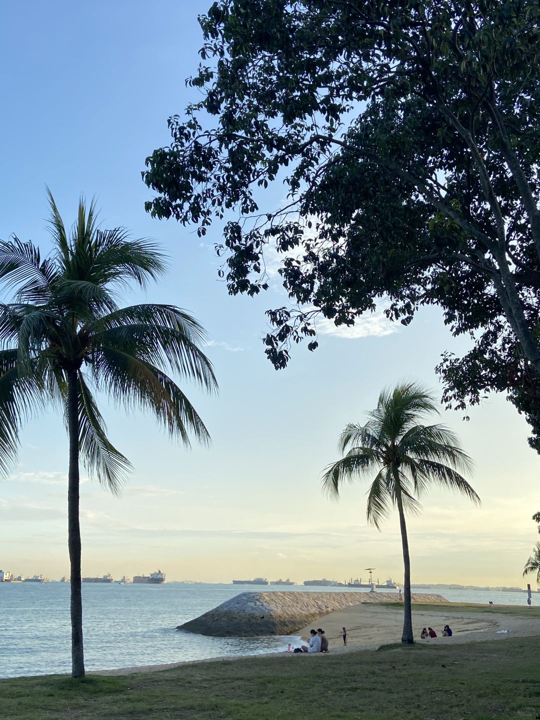 Singapore-Cycling with locals at Singapore's East Coast Park at sunset, ?romance can be free