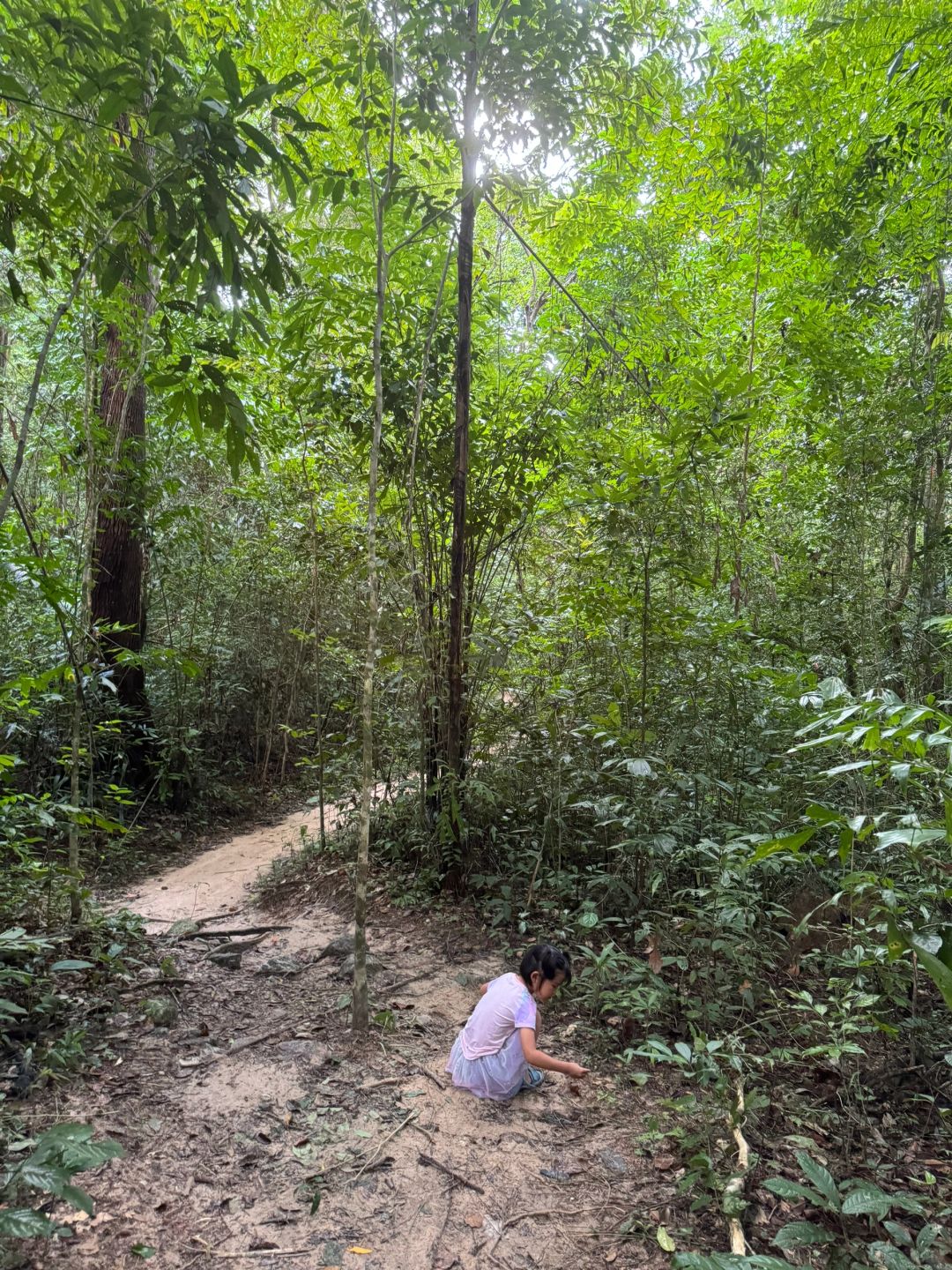 Phuket-Enchanting Phuket's Khao Phra Thaew Tropical Rainforest - A Magical Adventure Awaits!