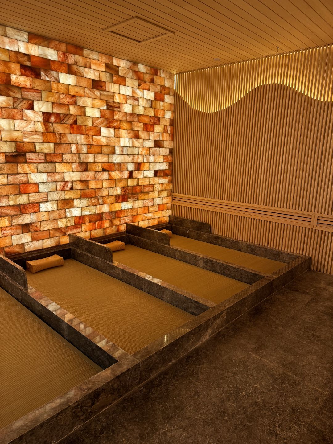Chengdu/Chongqing-Qianshen, a well-known Chinese brand with 27 years of experience in sauna and bathing