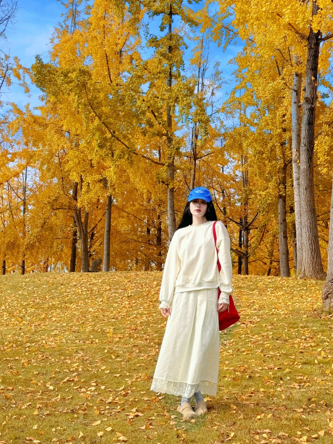 Chengdu/Chongqing-The ginkgo forest in Chengdu Tianfu Park has turned into a golden ocean!