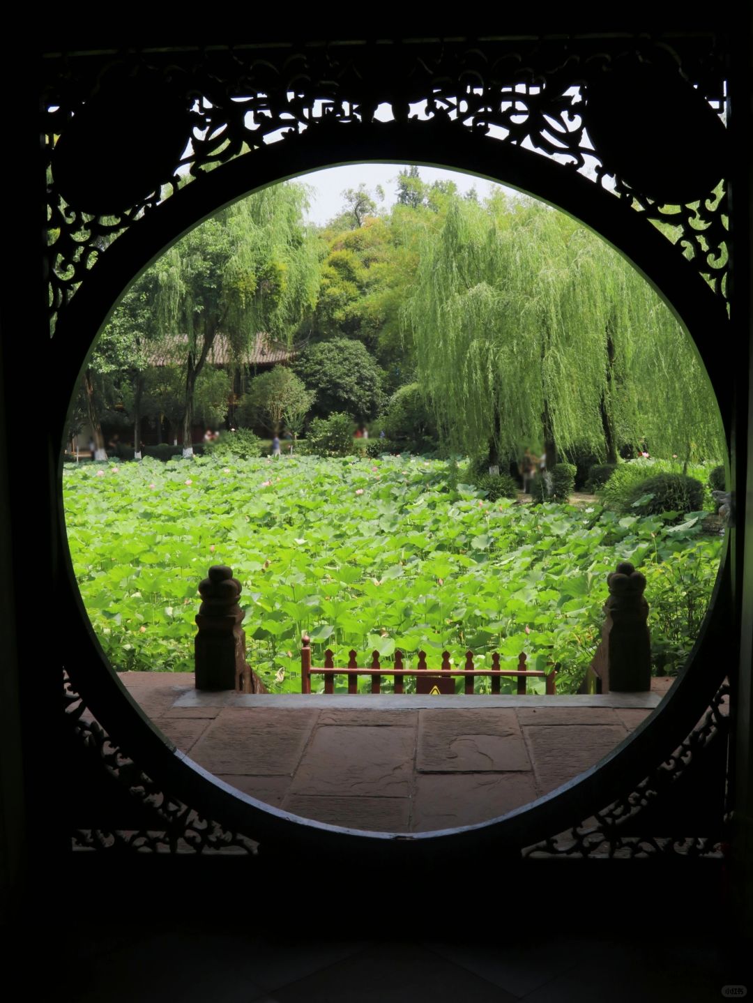 Chengdu/Chongqing-Trip advice: Visit these 5 parks before leaving Chengdu~