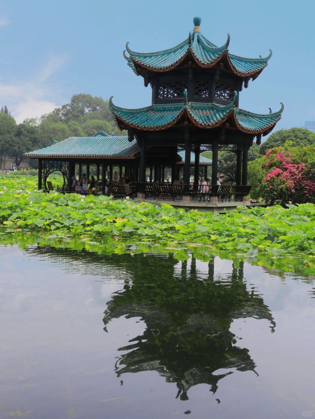 Chengdu/Chongqing-Trip advice: Visit these 5 parks before leaving Chengdu~