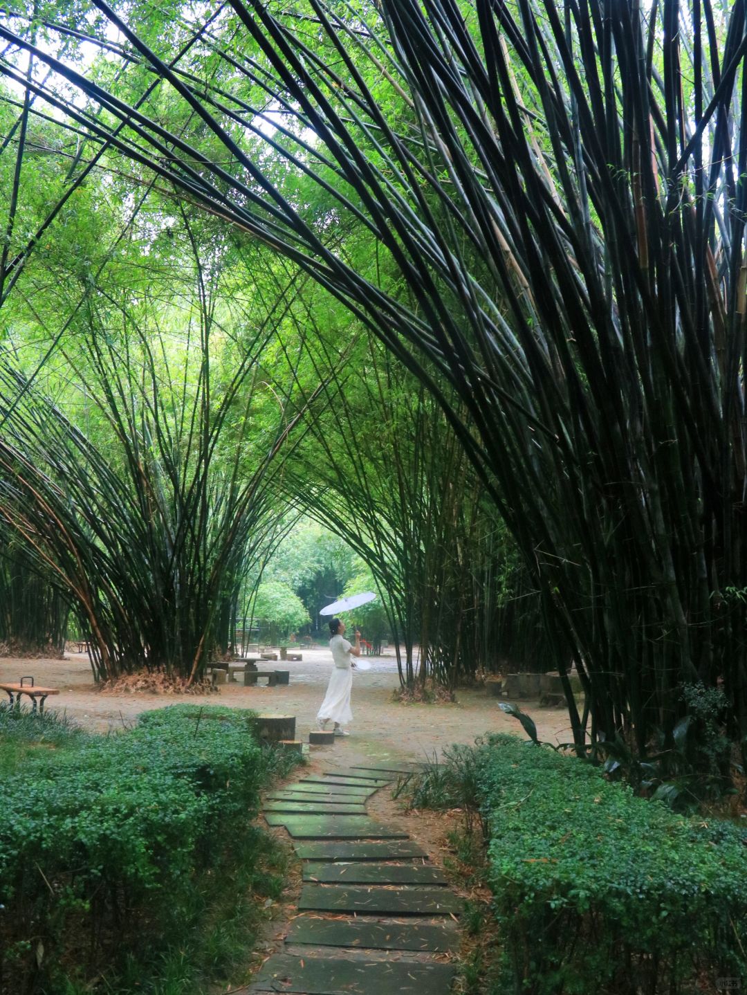 Chengdu/Chongqing-Trip advice: Visit these 5 parks before leaving Chengdu~
