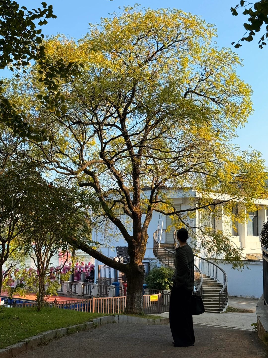 Changsha-I declare these park are the most popular parks in Changsha！