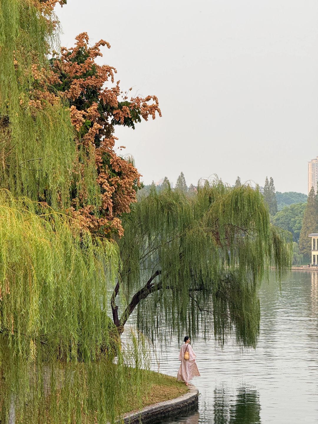 Changsha-I declare these park are the most popular parks in Changsha！