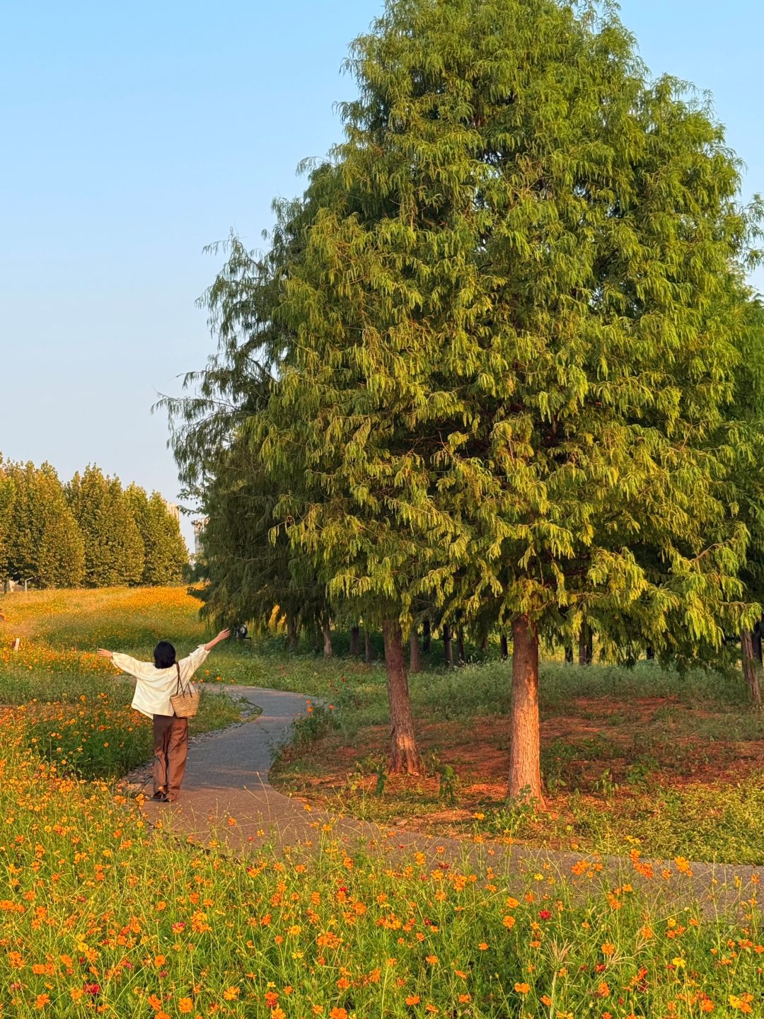 Changsha-I declare these park are the most popular parks in Changsha！