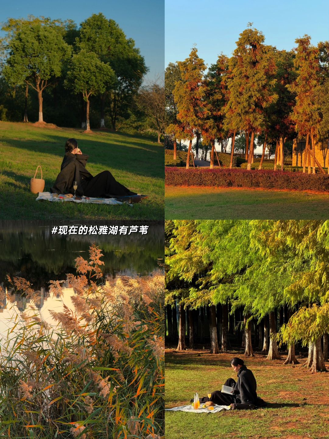 Changsha-I declare these park are the most popular parks in Changsha！