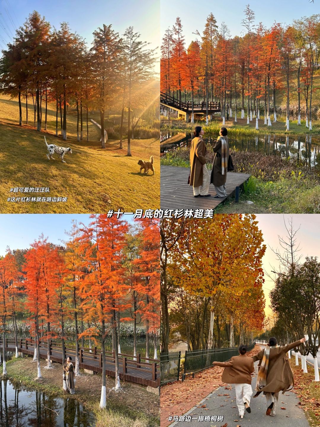 Changsha-I declare these park are the most popular parks in Changsha！