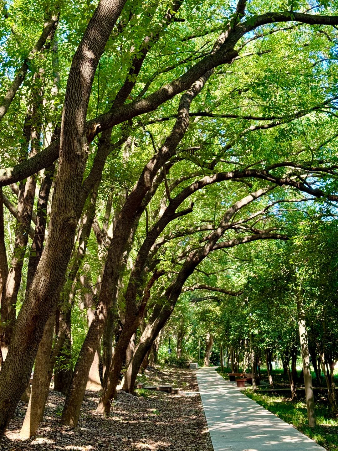 Shanghai/Hangzhou-It’s hard to believe this is Suzhou! Shishan is so chill!
