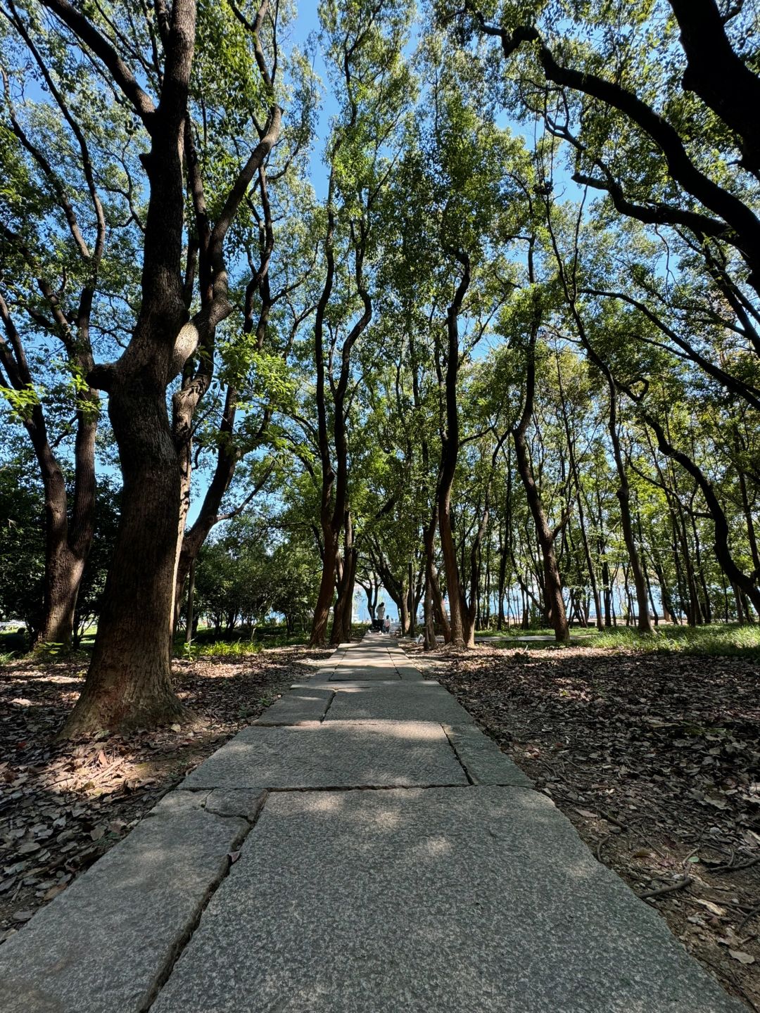 Shanghai/Hangzhou-It’s hard to believe this is Suzhou! Shishan is so chill!