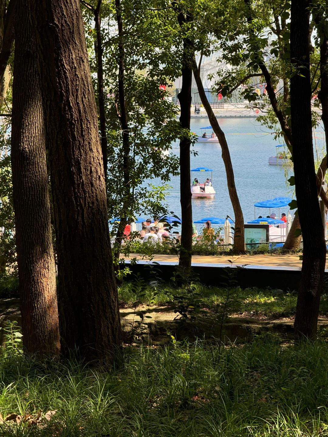 Shanghai/Hangzhou-It’s hard to believe this is Suzhou! Shishan is so chill!