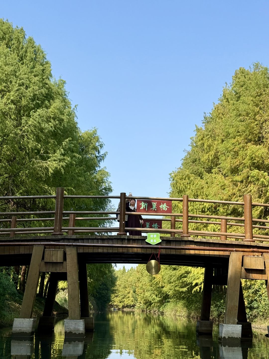 Shanghai/Hangzhou-There is such a forest in Suzhou Huqiu park! ! ! You can row a boat! ! !