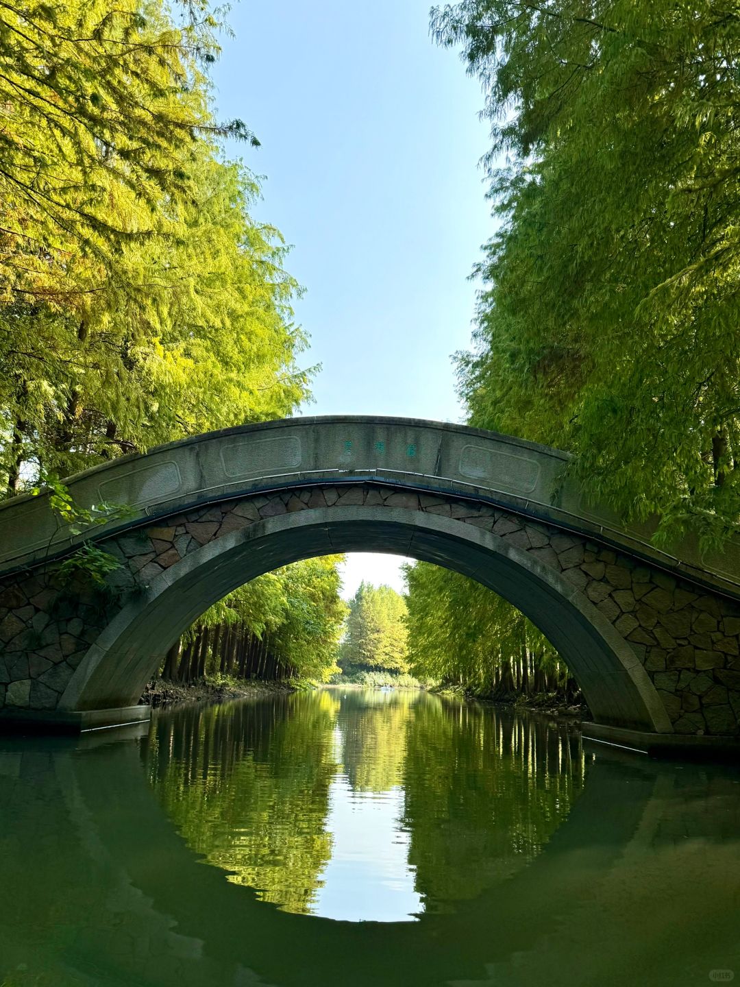 Shanghai/Hangzhou-There is such a forest in Suzhou Huqiu park! ! ! You can row a boat! ! !