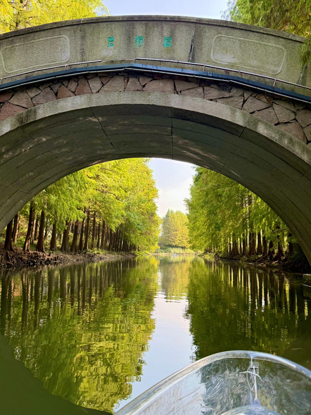 Shanghai/Hangzhou-There is such a forest in Suzhou Huqiu park! ! ! You can row a boat! ! !