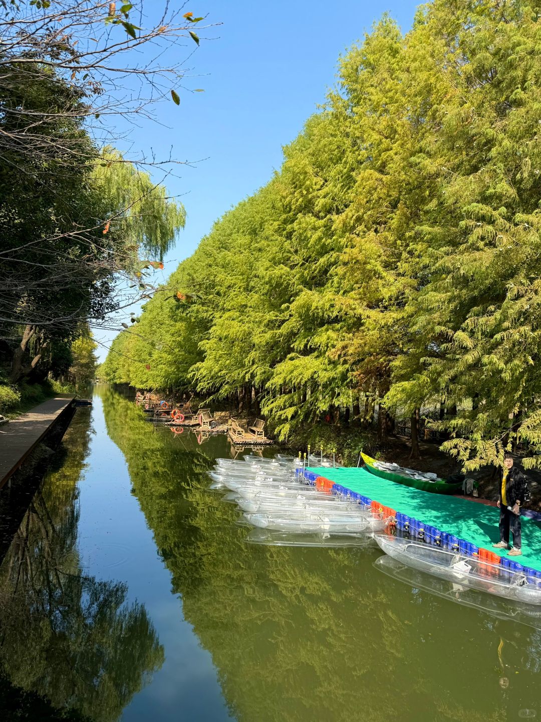 Shanghai/Hangzhou-There is such a forest in Suzhou Huqiu park! ! ! You can row a boat! ! !
