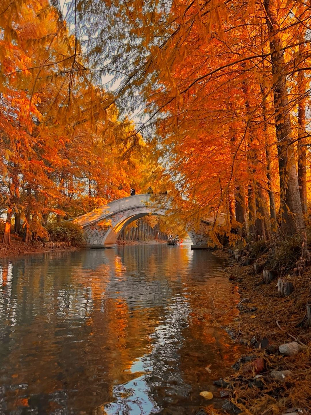 Shanghai/Hangzhou-Suzhou Huqiu Wetland Park is a vibrant park that you will love time and time again!