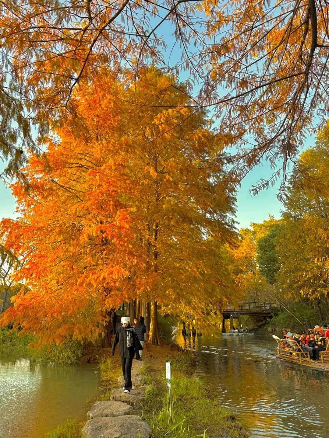 Shanghai/Hangzhou-Suzhou Huqiu Wetland Park is a vibrant park that you will love time and time again!