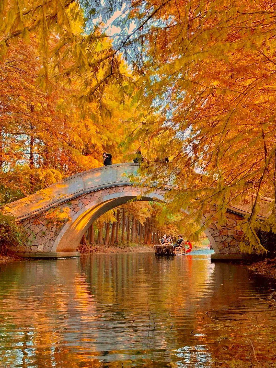 Shanghai/Hangzhou-Suzhou Huqiu Wetland Park is a vibrant park that you will love time and time again!