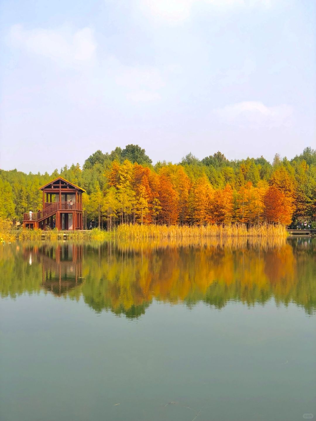 Shanghai/Hangzhou-Suzhou Huqiu Wetland Park is a vibrant park that you will love time and time again!