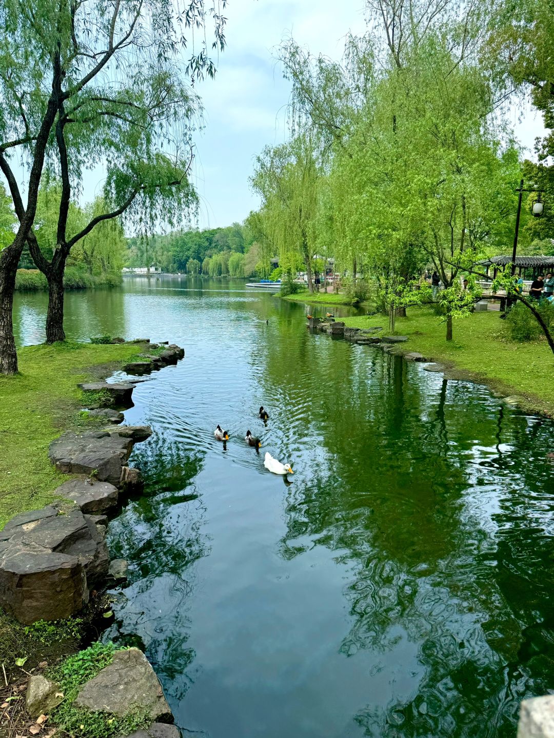 Shanghai/Hangzhou-Suzhou Dongyuan, a natural oxygen bar hidden in the old city area!