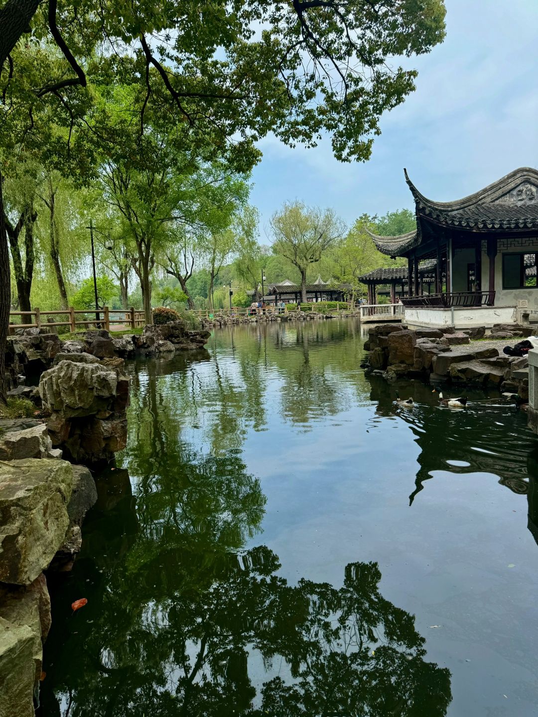 Shanghai/Hangzhou-Suzhou Dongyuan, a natural oxygen bar hidden in the old city area!