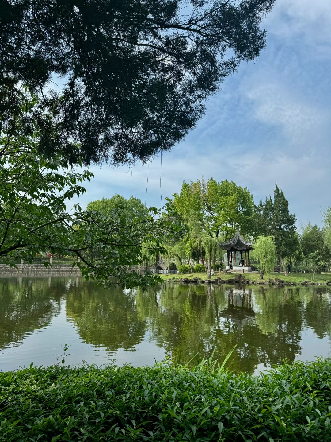 Shanghai/Hangzhou-Suzhou Dongyuan, a natural oxygen bar hidden in the old city area!