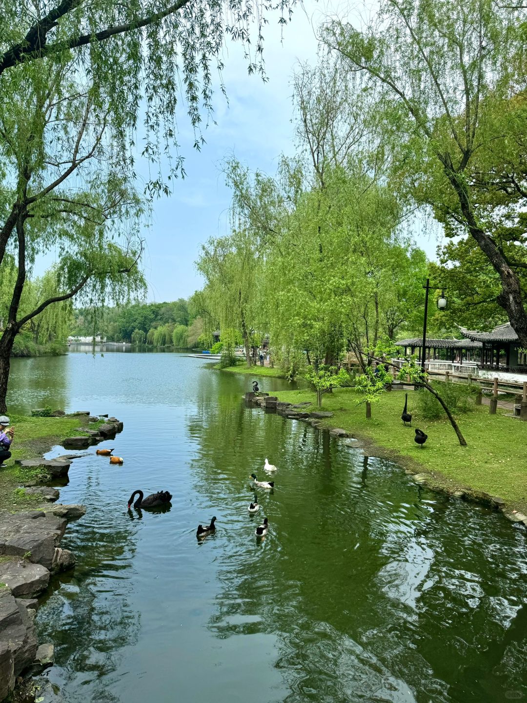 Shanghai/Hangzhou-Suzhou Dongyuan, a natural oxygen bar hidden in the old city area!