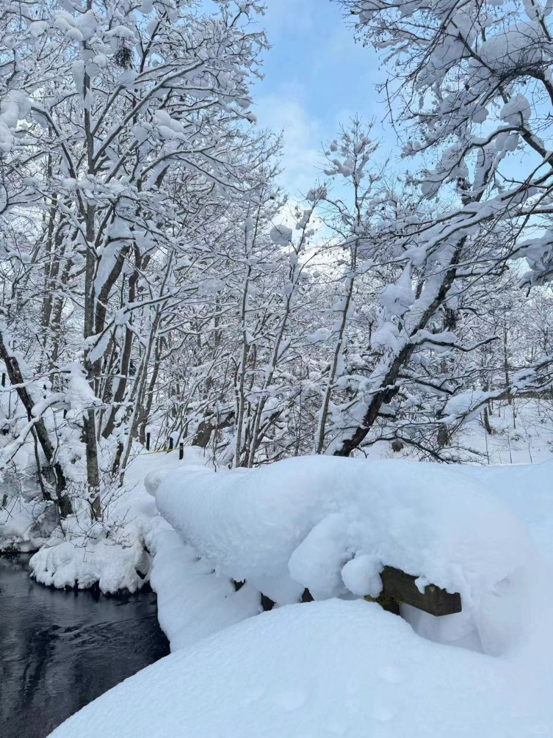 Sapporo/Hokkaido-Hokkaido Kyogoku Park and its famous water--the wonderland on earth