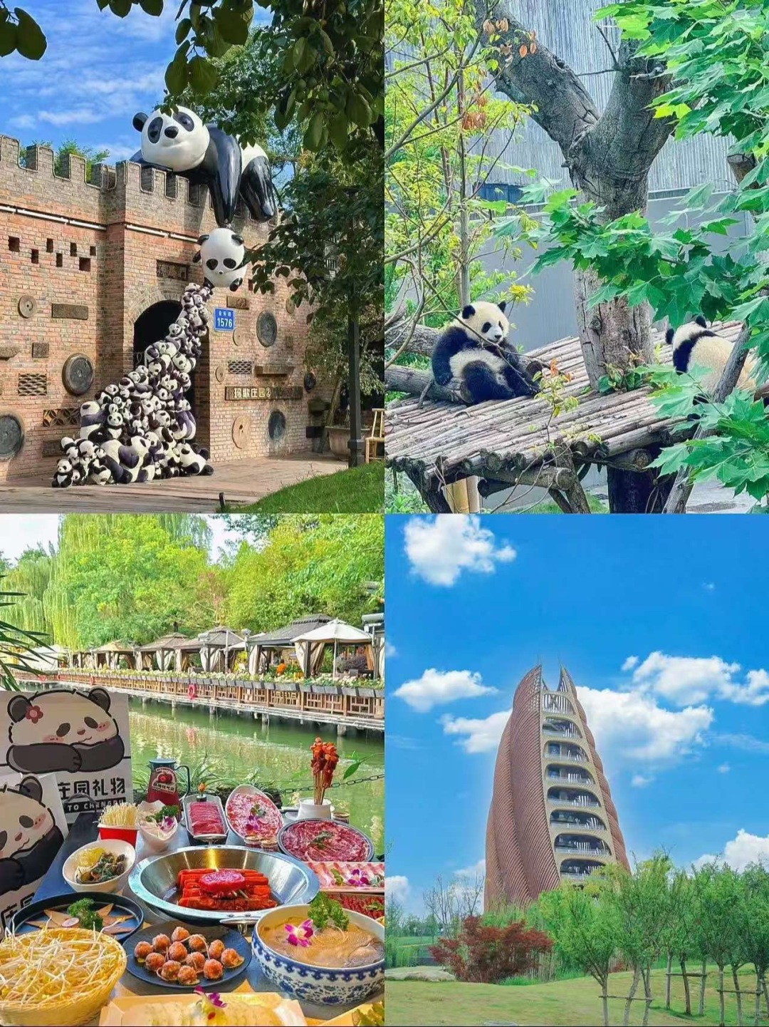 Chengdu/Chongqing-A travel guide book made by locals in Chengdu! You must watch before go to Chengdu!