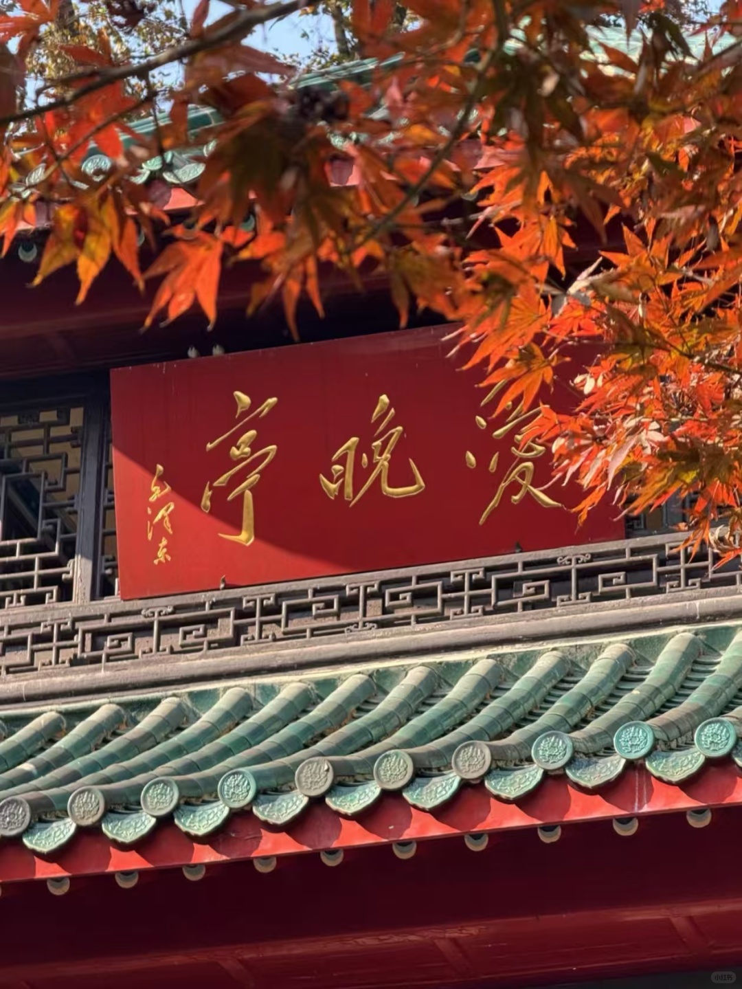 Changsha-Changsha travel guide is here！A must-have for lazy people, just take it when you want to go to Changsha！