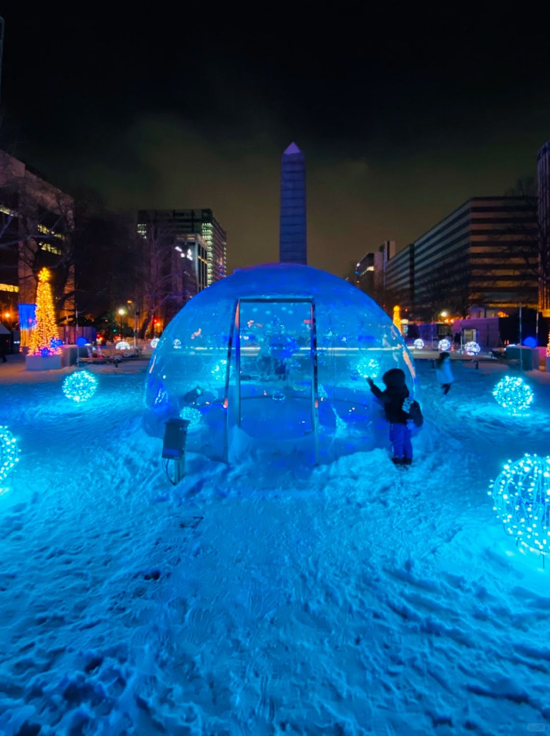 Sapporo/Hokkaido-Sapporo Odori Park Winter Visit: Pitfalls and Tips .And  watch  romantic scene inShiroi Koibito Park or Asahiyama Zoo