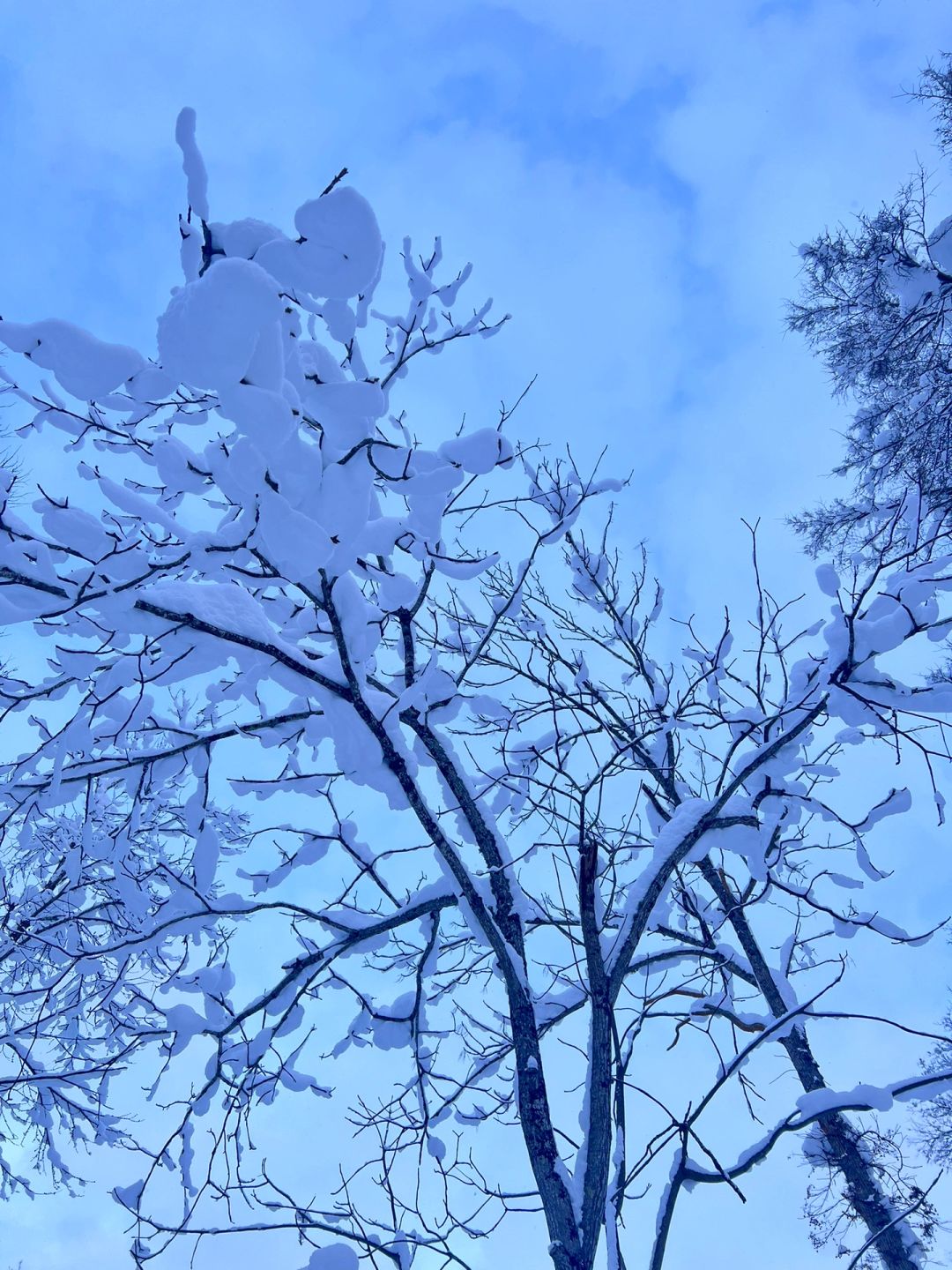 Sapporo/Hokkaido-Kyogoku Park: A Heavenly Escape in Hokkaido also famous for its water