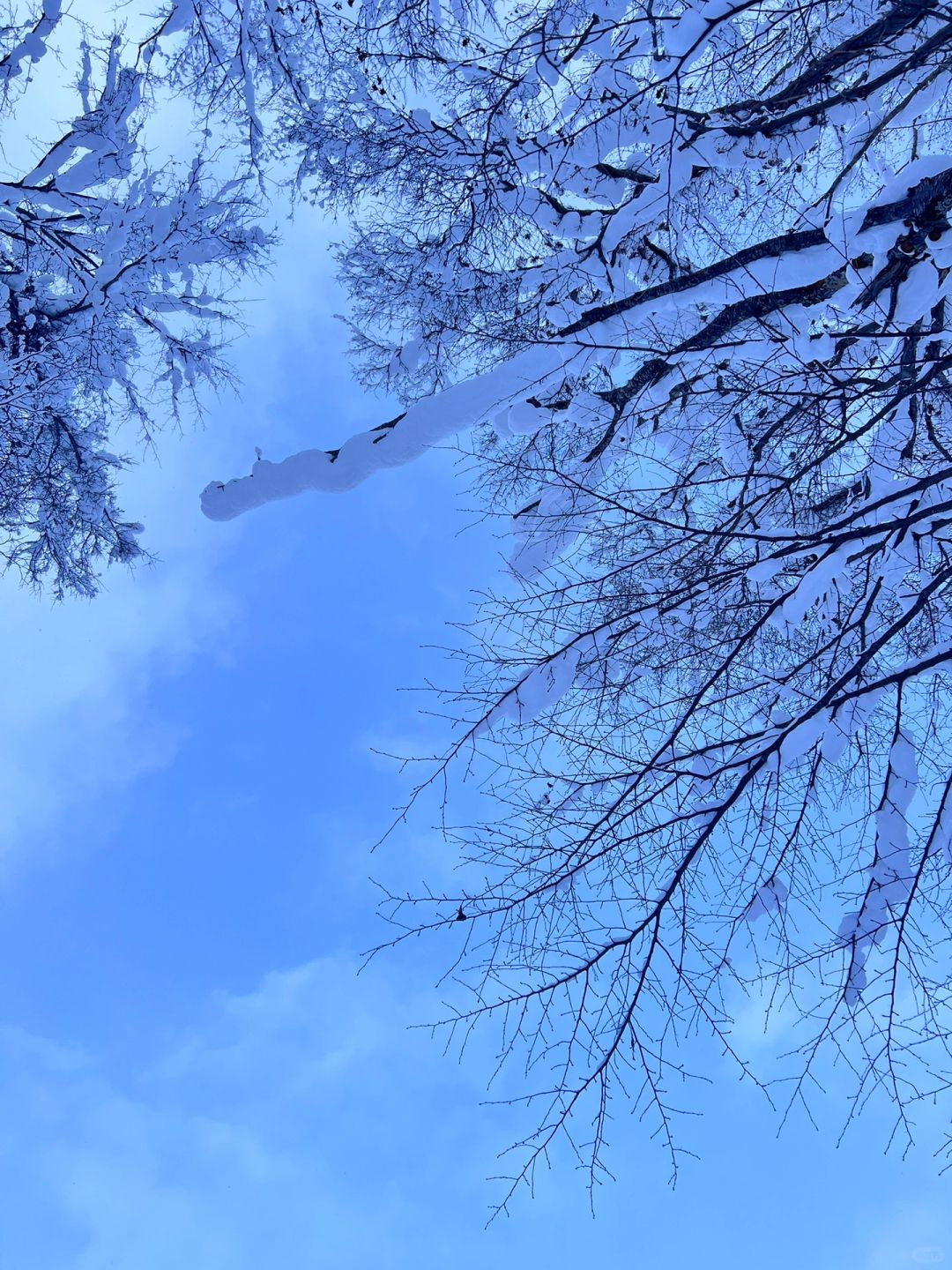 Sapporo/Hokkaido-Kyogoku Park: A Heavenly Escape in Hokkaido also famous for its water