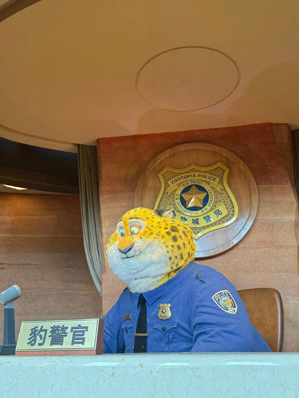 Shanghai/Hangzhou-Tell you how to take the fastest route to enter the zoo of Shanghai Disneyland!
