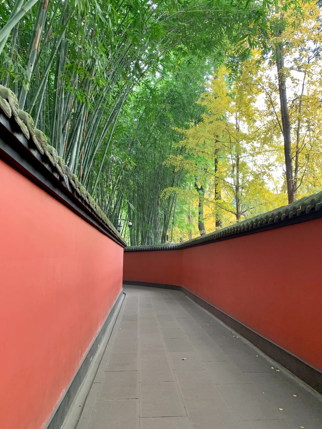 Chengdu/Chongqing-The Wuhou Temple in Chengdu is a holy land of Three Kingdoms culture and a must visit place for literati!
