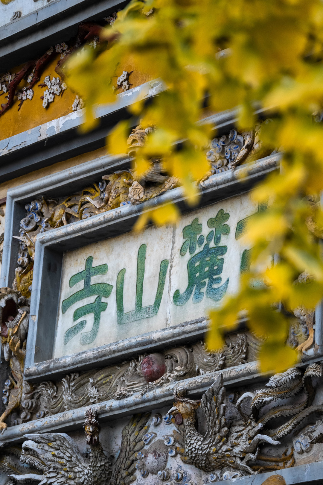 Changsha-I have to say that ️Changsha’s autumn is all hidden in Yuelu mountain！