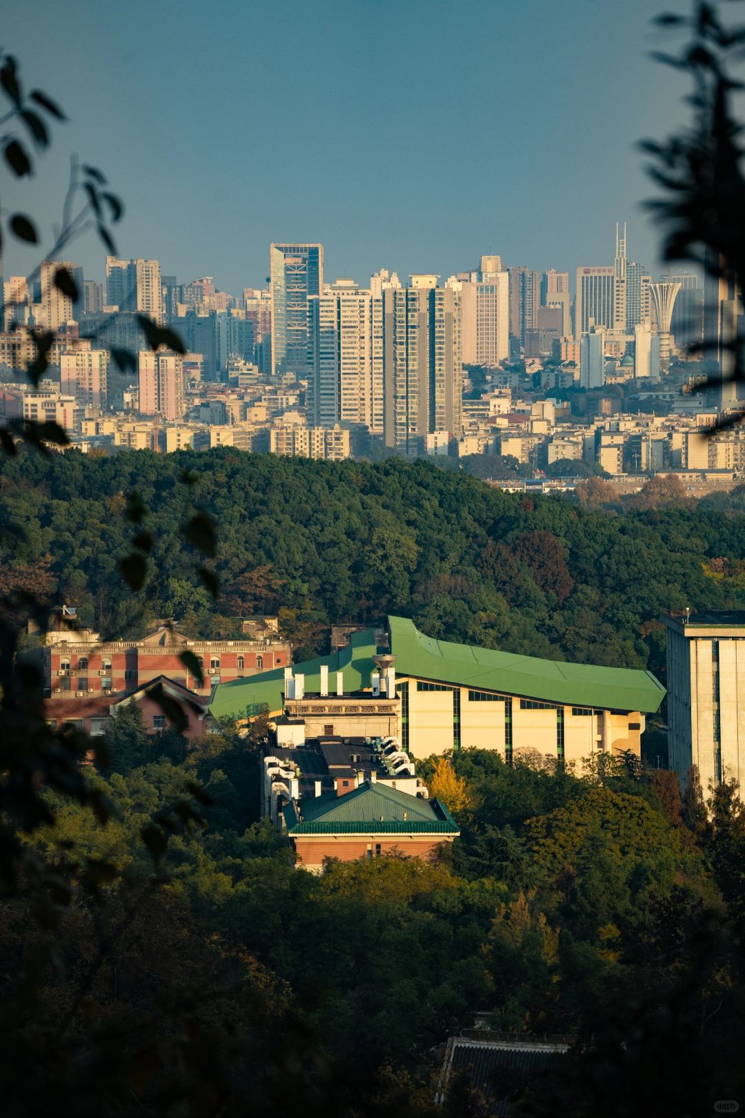 Changsha-I have to say that ️Changsha’s autumn is all hidden in Yuelu mountain！