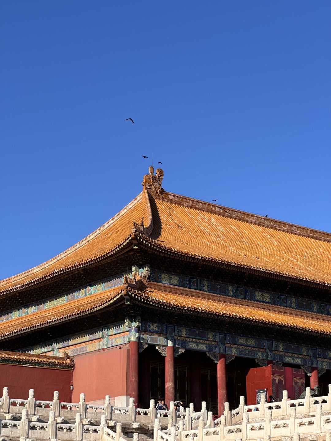 Beijing/Tianjin-The Forbidden City in Beijing | The Grand Hall of Supreme Harmony is a treasure in Chinese architectural art!