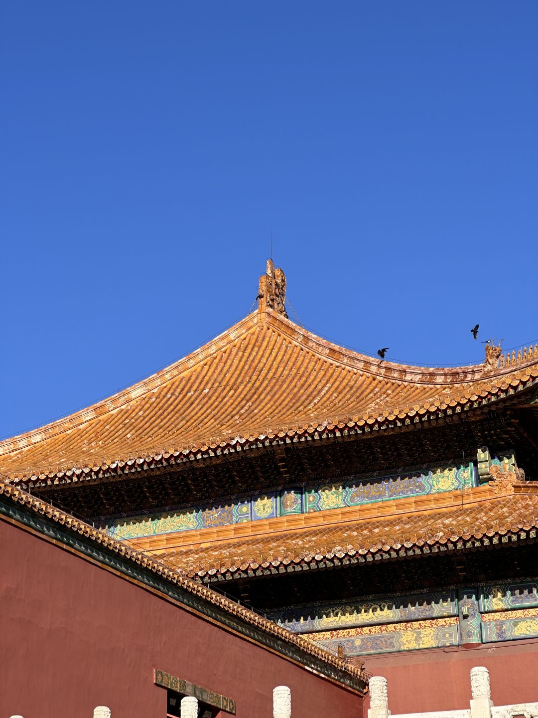 Beijing/Tianjin-The Forbidden City in Beijing | The Grand Hall of Supreme Harmony is a treasure in Chinese architectural art!