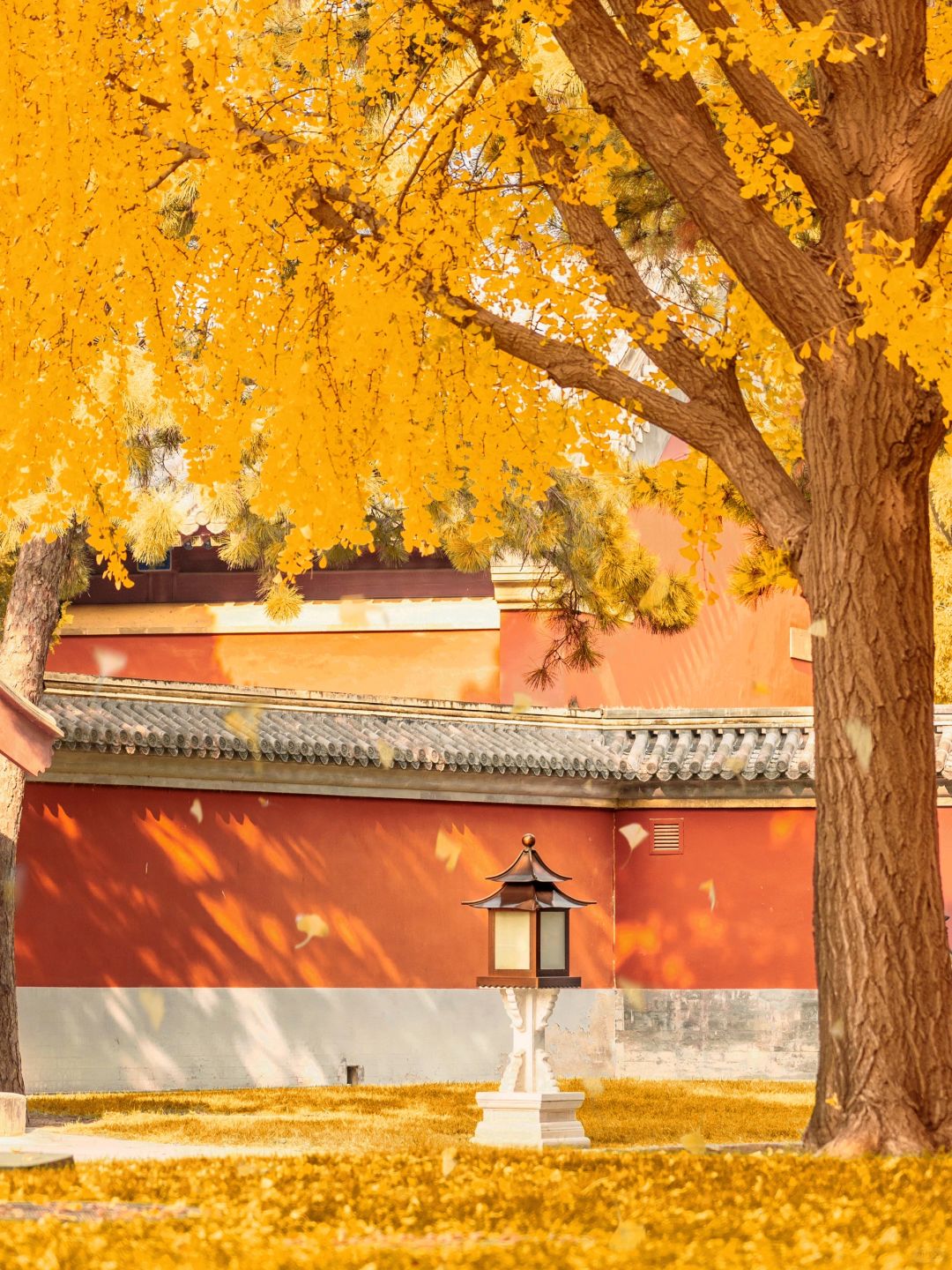 Beijing/Tianjin-The latest guide to the Forbidden City 2024‼ ️After reading this, you will fall in  love with Beijing！