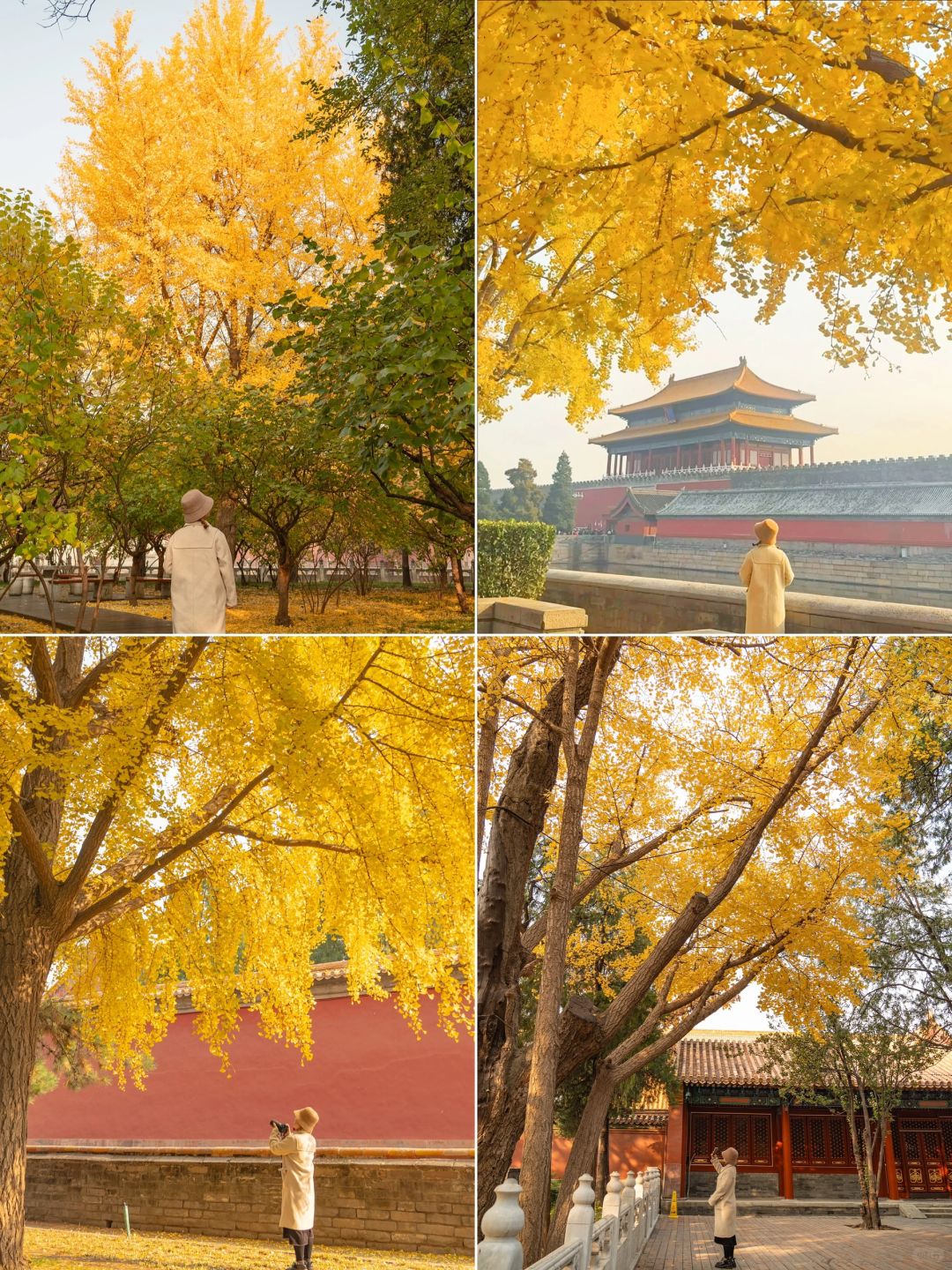 Beijing/Tianjin-The latest guide to the Forbidden City 2024‼ ️After reading this, you will fall in  love with Beijing！