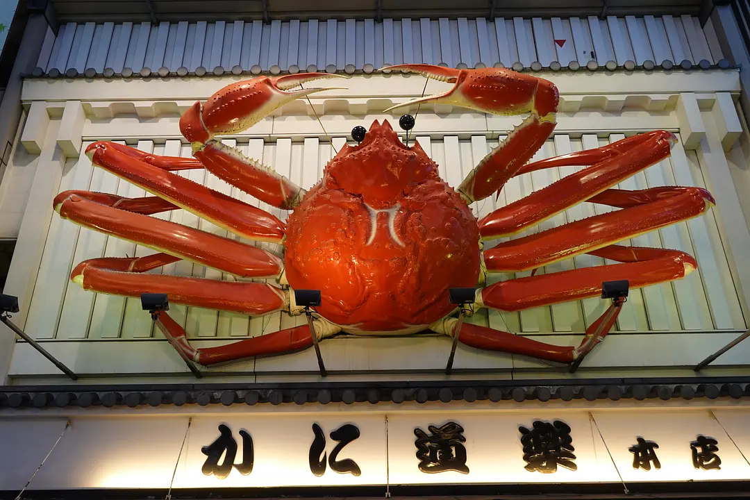 Tokyo-11 Days ofTravel itinerary reference:Tokyo Tower,Sensoji Temple,Kawaramachi,Arashiyama