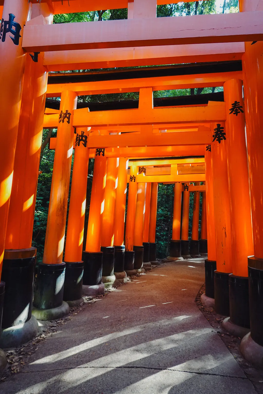 Tokyo-11 Days ofTravel itinerary reference:Tokyo Tower,Sensoji Temple,Kawaramachi,Arashiyama